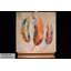 Light As A Feather - No Frame Painting on Canvas