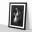 Yawning Lioness - Picture Frame Graphic Art Print-56856783-56856786