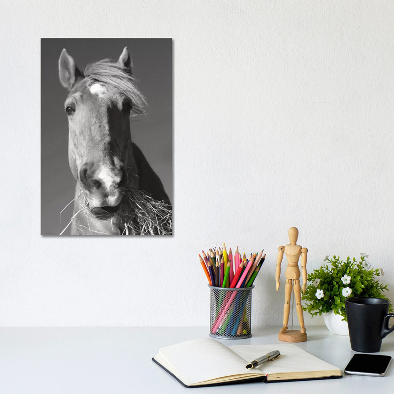 Feeding Time In Black And White by Sue Schlabach - Gallery-Wrapped Canvas Giclée on Canvas, Canvas, 20.32 cm H x 30.48 cm W