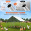 61 Square Feet Chicken Coop with Chicken Run
