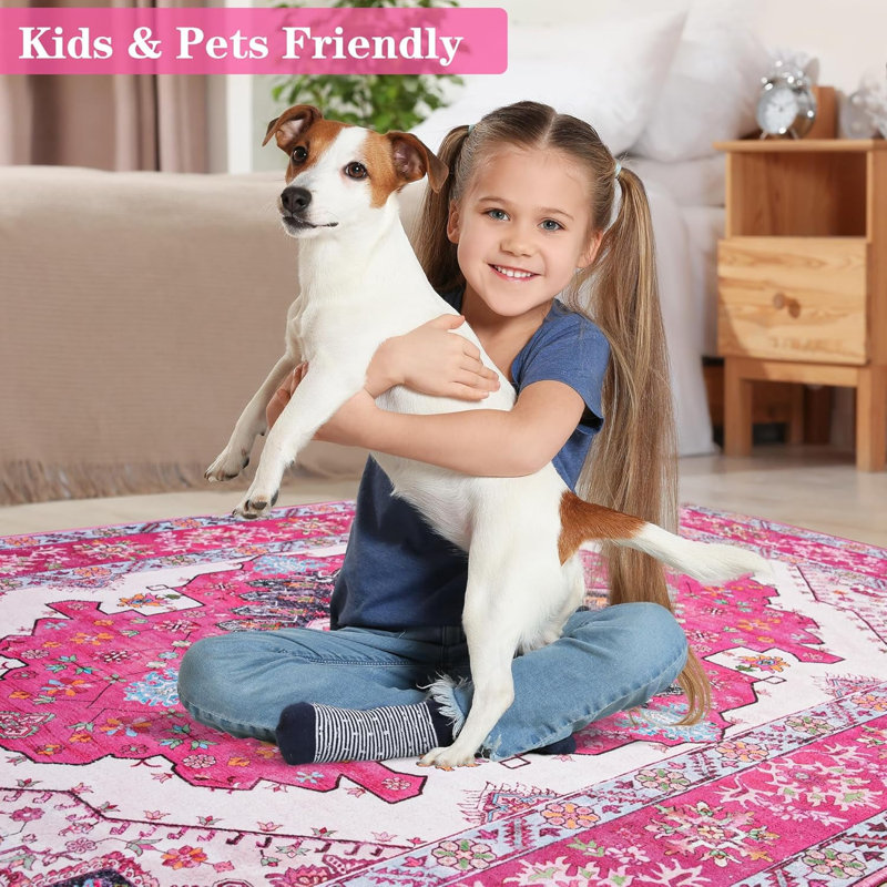 Groner Area Rugs Machine Washable Boho Rug For Living Room Bedroom, Rectangle 2' x 3'