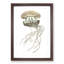 Crown Jellyfish by George Shaw - Picture Frame Painting Print-55621146-55621142