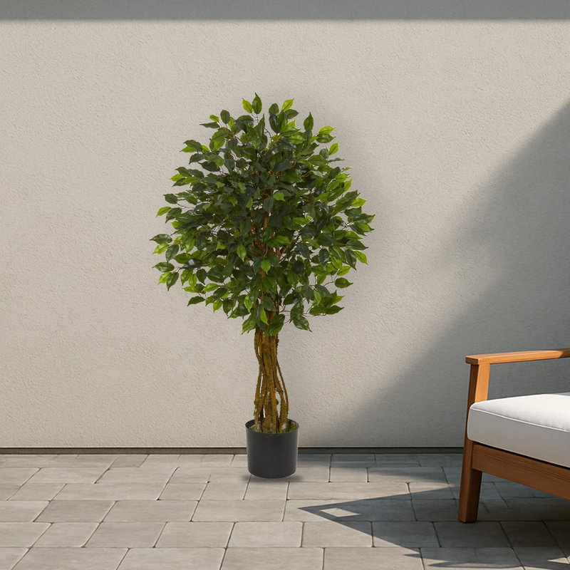 Ficus Artificial Tree