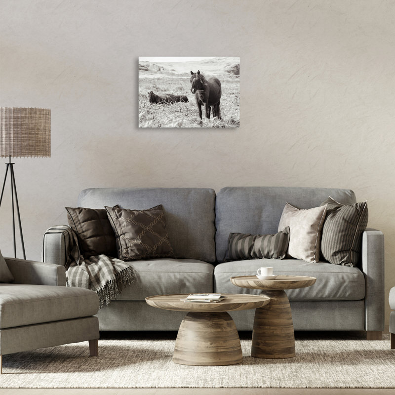«Dartmoor Pony Lounging», art mural par Deborah Revell, H 16 po x l 24 po