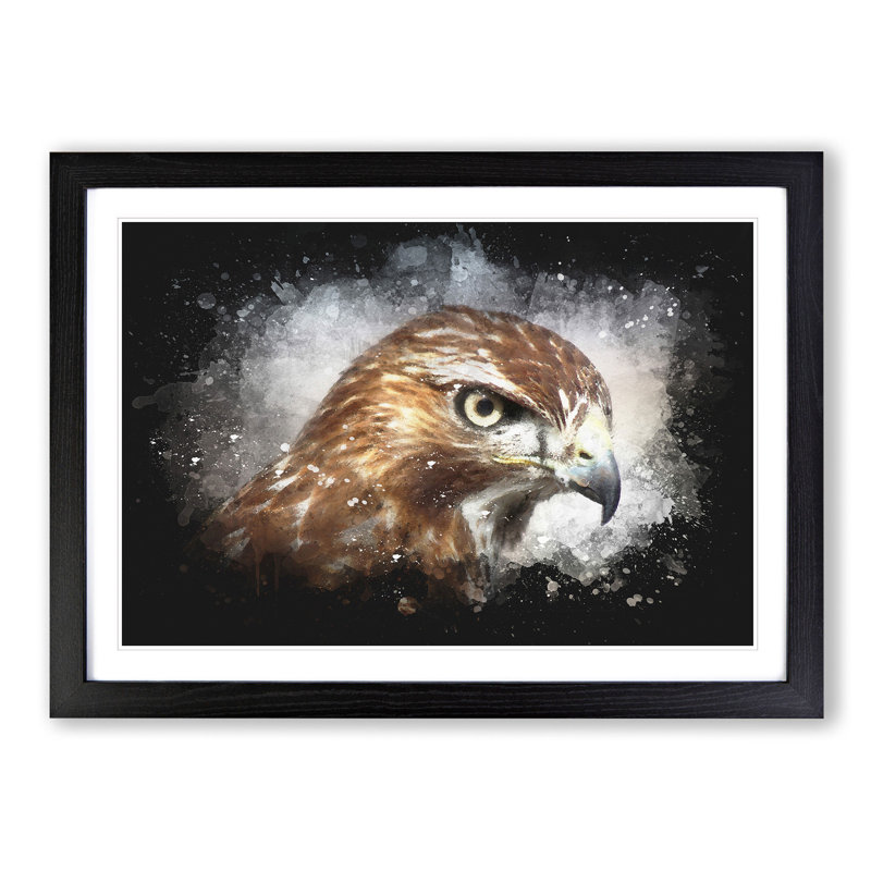 Hawk - Picture Frame Graphic Art Print, 62cm H x 87cm W x 2cm D, Black Framed