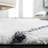 Poulin Shag 500 Performance Rug-271142720