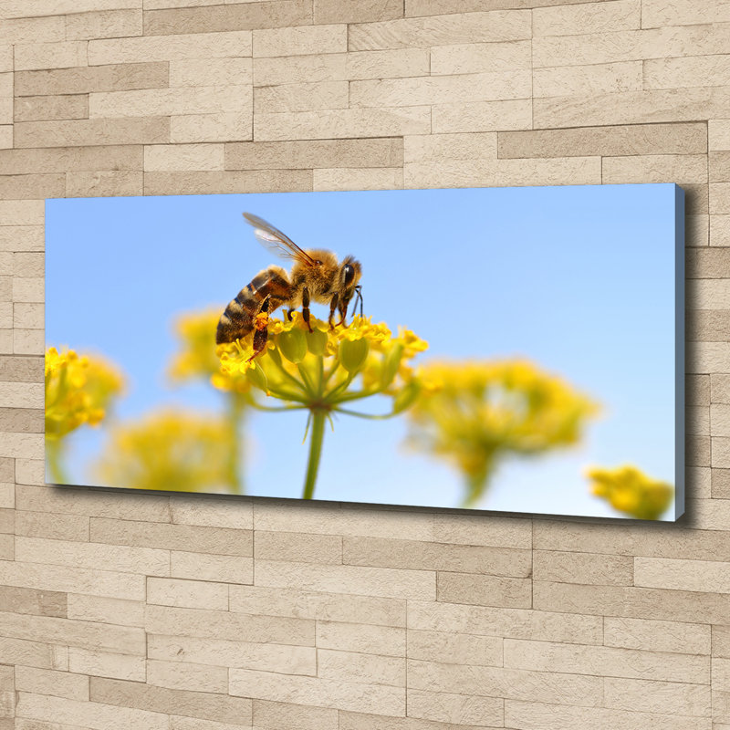 Bee On A Flower - Wrapped Canvas Print, Canvas, 50cm H x 125cm W