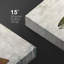 «Trout Fish on Granite Marine Life Animals» sur toile-100095280-99542758