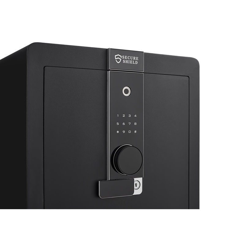Coffre-fort avec reconnaissance biométrique, cloison amovible intégrée et cloison de compartiment flexible, double protection avec verrouillage électronique par mot de passe, structure de compartiment cachée privée et invisible,