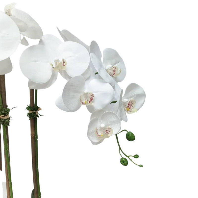 Orchidée blanche dans un vase martelé doré