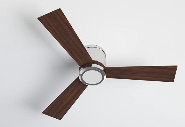 Modern Ceiling Fan Sale