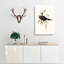 Shining Starling by Elizabeth Gould - Wrapped Canvas-55318230