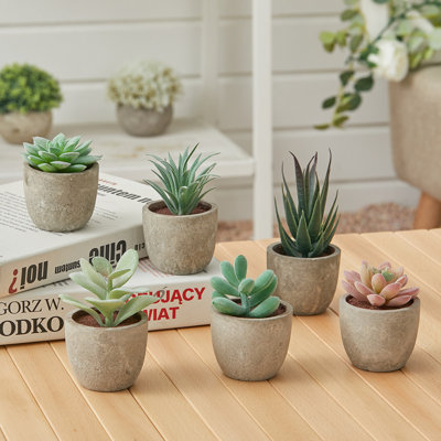 7.5 cm H Faux Chinese Money Plant