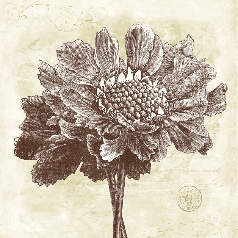 Spa Botanical I by Katie Pertiet - Wrapped Canvas Painting, 76cm H x 76cm W x 3.8cm D