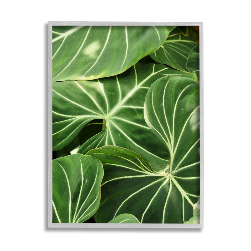 Végétale luxuriante à feuilles vertes, H 14 po x l 11 po x P 1,5 po, Gris