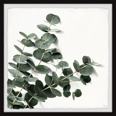 Jalexy Eucalyptus Bloom by Eyre Tarney - Single Picture Frame Painting Set