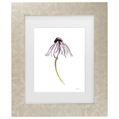 Bolog Shirley Novak Echinacea I Matted Framed Art
