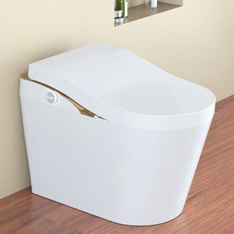 Contemporary Smart Toilet With Bidet Function, Auto Flush System, Automatic Lid Open/Close, Heated Seat Customizable Warmth, Warm Water Wash, Air Dry, Foam , Foot Sensor, Comfort Height Bidet, Flush,