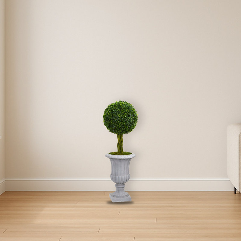 Braided Boxwood Tree in Urn UV Resistant