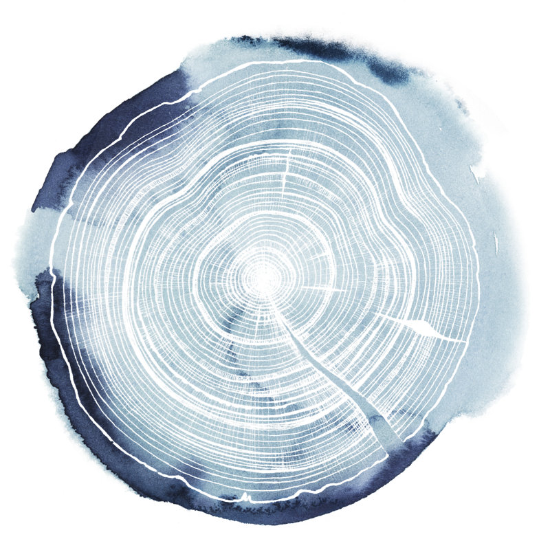 Tree Ring Overlay III by Grace Popp - Wrapped Canvas Painting, 91cm H x 91cm W