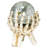 All-Seeing Eye of the Skeleton Water Globe