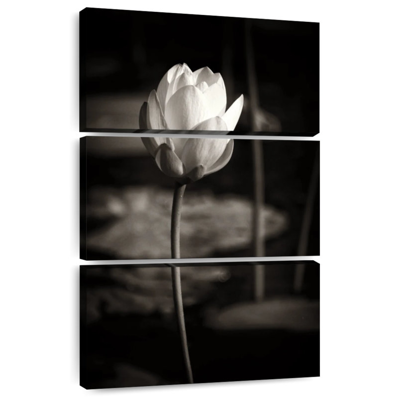 Harnek Lotus Flower IV, 38" H x 24" W