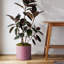 Pot à fleurs rond intérieur / extérieur en plastique moderne avec soucoupe-1933896408-1944428720