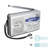 Portable Decorative Radio 