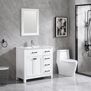 https://assets.wfcdn.com/im/30959580/resize-h310-w310%5Ecompr-r85/1405/140537964/pippi-354-free-standing-single-bathroom-vanity-with-ceramic-top-with-mirror.jpg