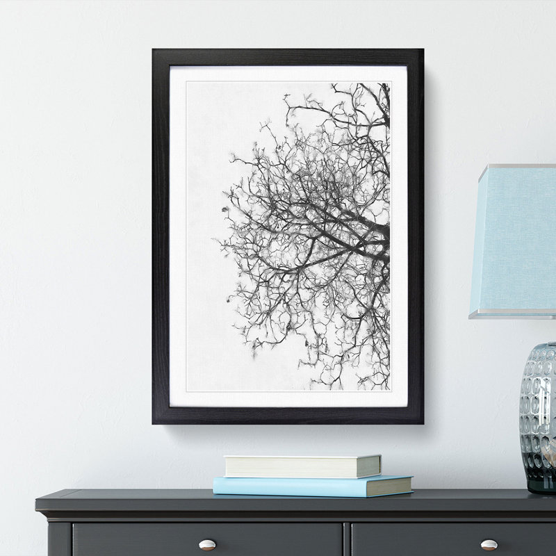 Bare Tree - Picture Frame Graphic Art Print, Black Framed, 63cm H x 45cm W x 2cm D