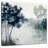 Soft Winter Light-109358363
