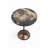 Fossilised Petrified Wood Accent Table