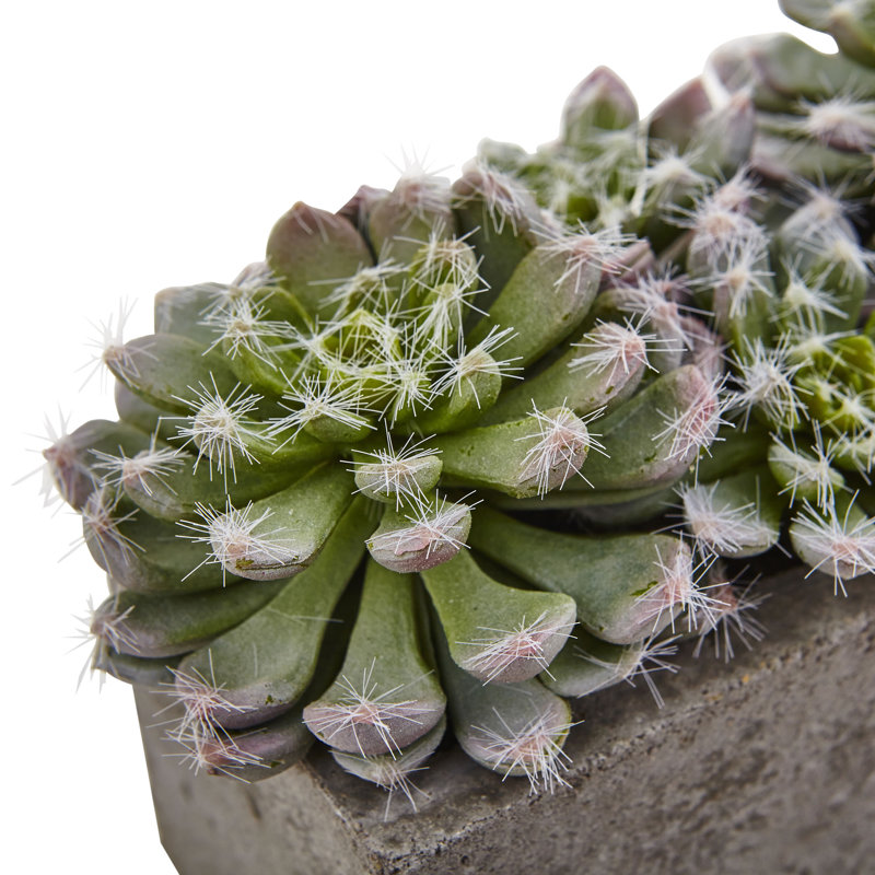 Succulent artificielle 2,25" en pot de fleurs