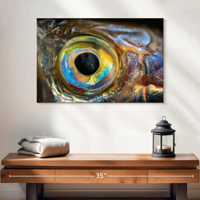 Brampt Iridescent Fish Eye