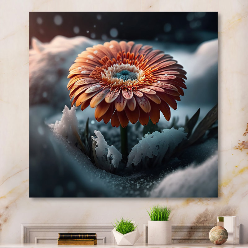 Une fleur de gerbera en fleurs en hiver - impression sur toile, H 16 po x l 16 po x P 1 po, Toile tendue
