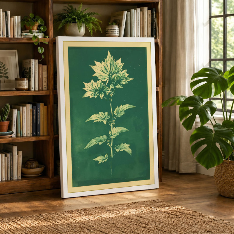 Pale Flowering Study Botanical - Wrapped Canvas, 18x12 - 45.7 x 30.5 cm, Cream Border