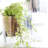Basil Tabletop Votive Holder-27845454