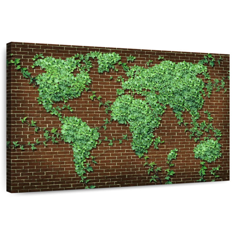 Carte du monde Aliaz Evergreen, H 32 po x l 48 po