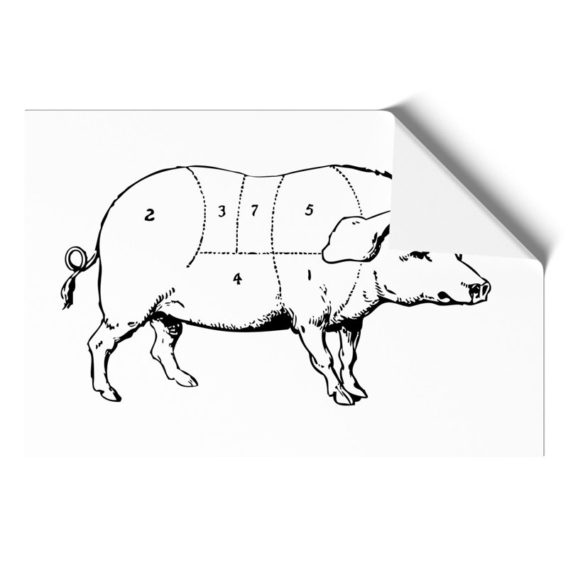 Butchers Pork Cuts - Frameless Print, 42cm H x 59cm W x 0.1cm D