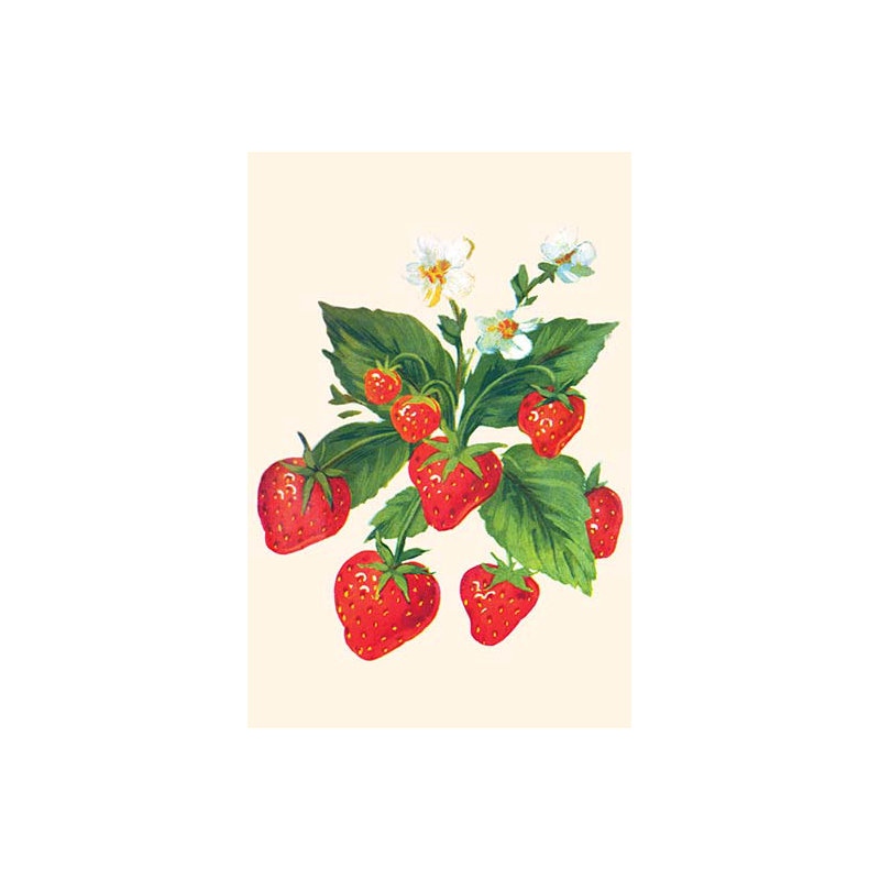 « fraises et fleurs », impression