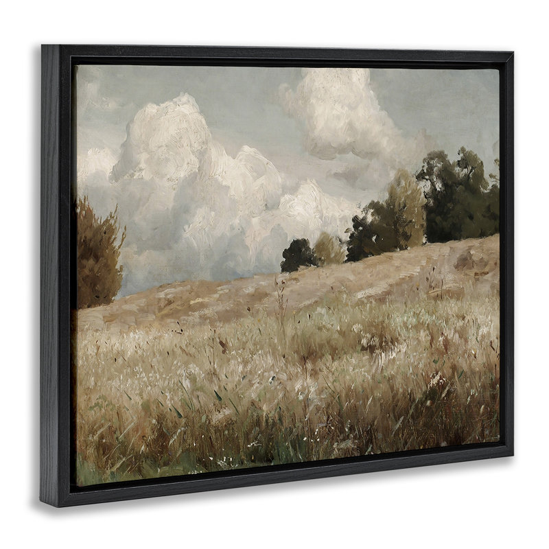 Paysage classique de champ nuageux, H 17 po x l 21 po, Cadre flottant noir de jais
