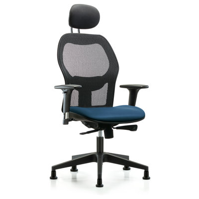 Ergonomic Task Chair