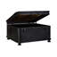 Shorney Accent Trunk