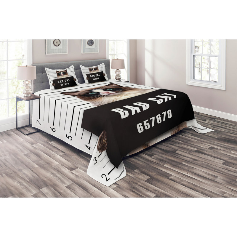 Farmhouse / Country Polyester Coverlet