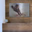 «Horse s'amusant» par Robert Campbell-642092419