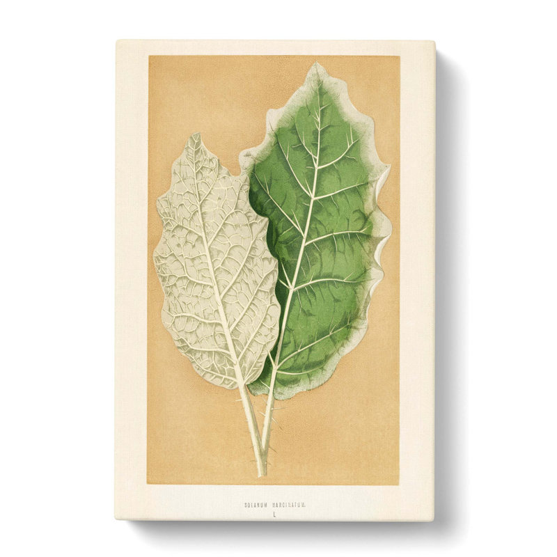 Nightshade Leaves by Benjamin Fawcett - Wrapped Canvas Print, 91cm H x 60cm W x 3cm D