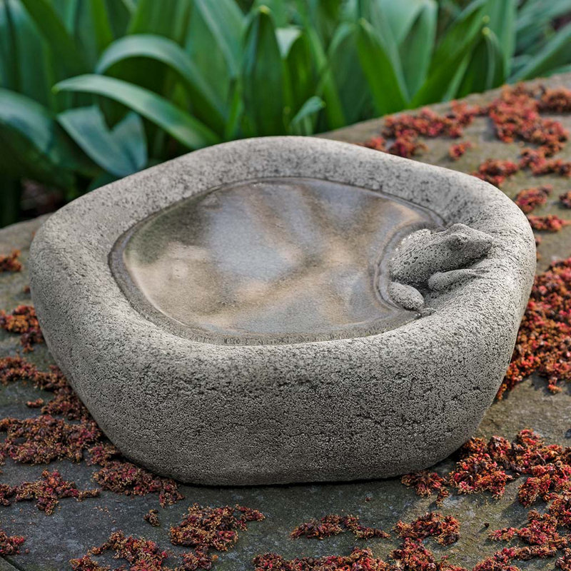 Bain d'oiseaux Woodland