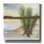 "Epic Graffiti" Desert Yucca "par Chris Paschke, art mural sur toile-102865863