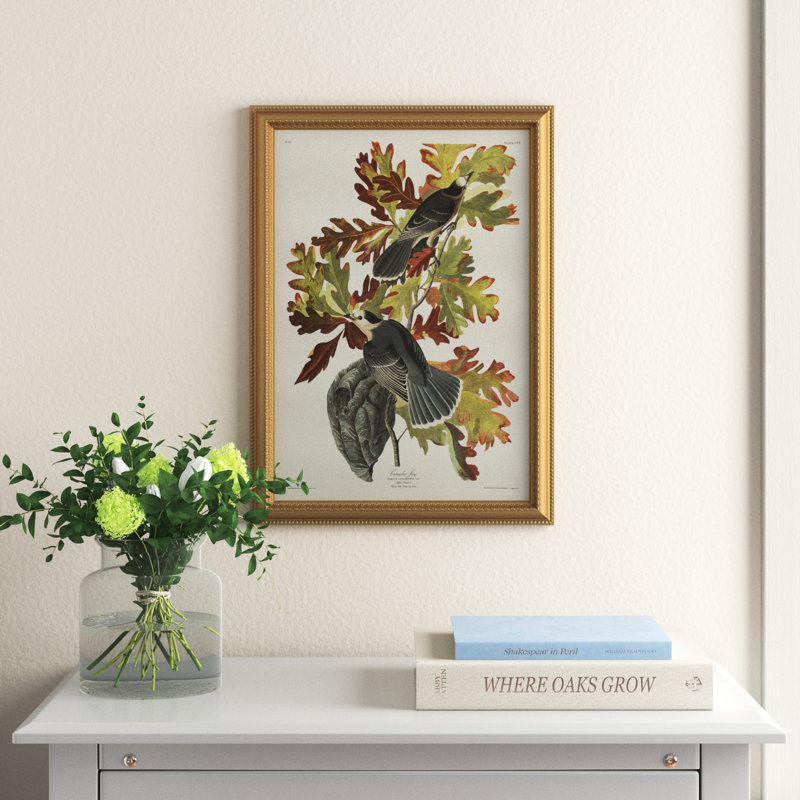 Pl 107 Canada Jay - Toile encadrée de qualité supérieure - prête à être accrochée, H 20 po x l 16 po x P 2,5 po
