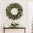 21" Preserved Eucalyptus Wreath – Natural Green Door & Wall Décor (Indoor Use)-380529073